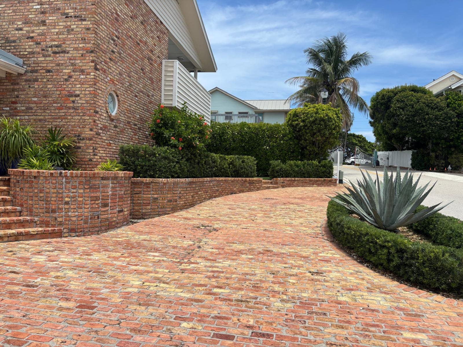 Professional landscaping and garden renovation